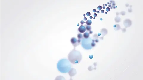 Wuxi Spring New Material Technology Co., Ltd. 5
